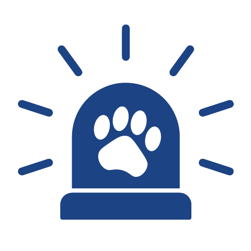 Emergency Vet Care Icon