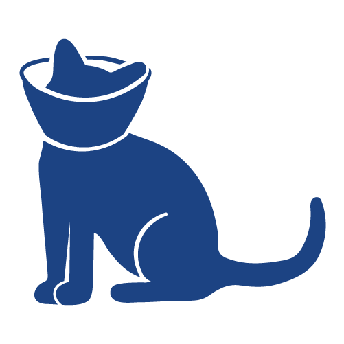 Pet Surgery Icon