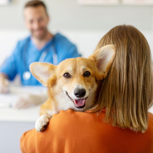 woman holding a corgi
