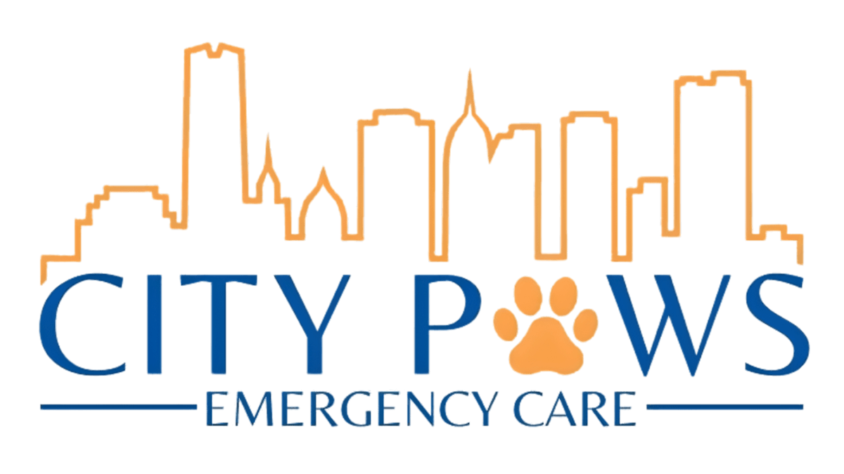 City Paws Emergency Care