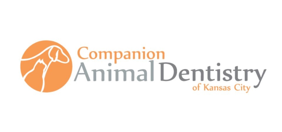 Companion Animal Dentistry