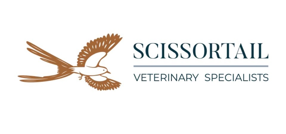 Honesty and Trust Icon